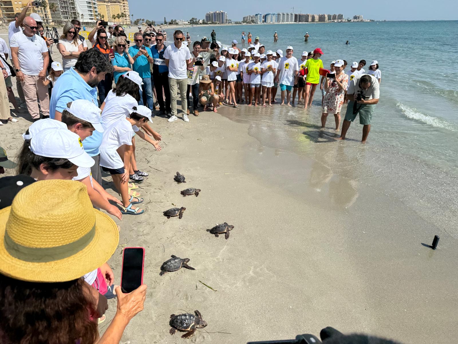 El Gobierno regional libera 30 tortugas bobas en la playa Ensenada del Esparto en La Manga 